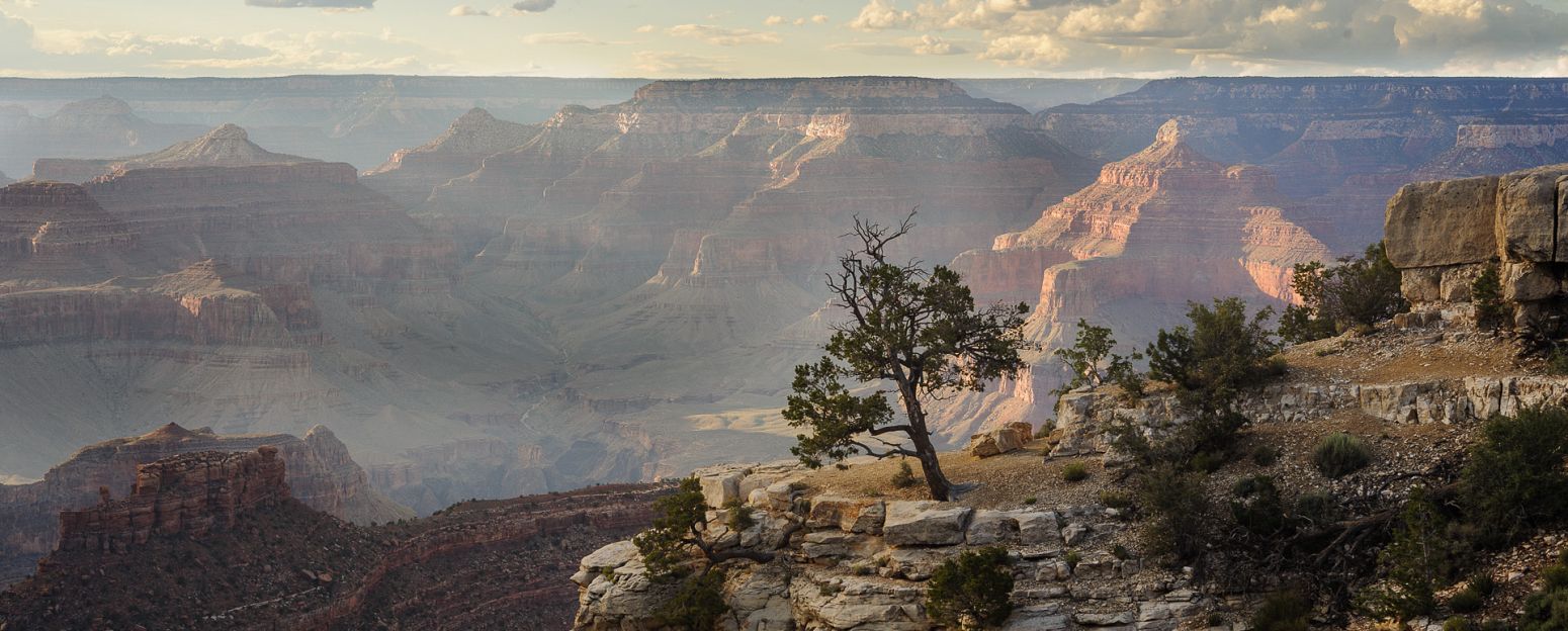 Grand Canyon from the Rim Trail, Arizona, USA